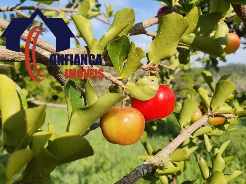 Sítio, 3 quartos, 1500 m² - Foto 4