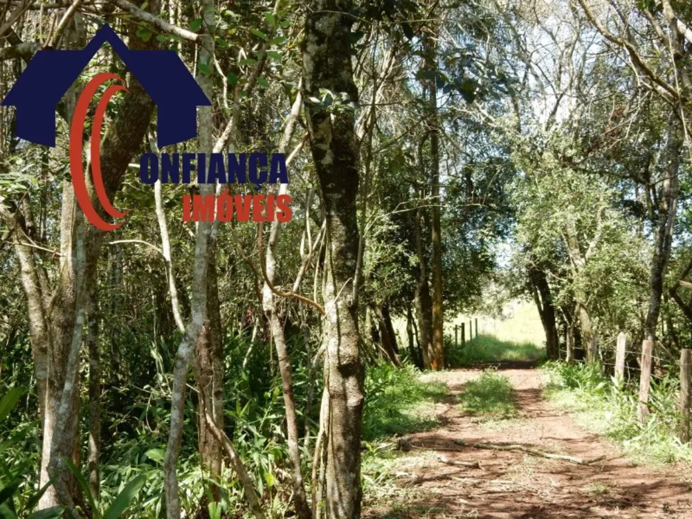 Sítio, 3 quartos, 1500 m² - Foto 10