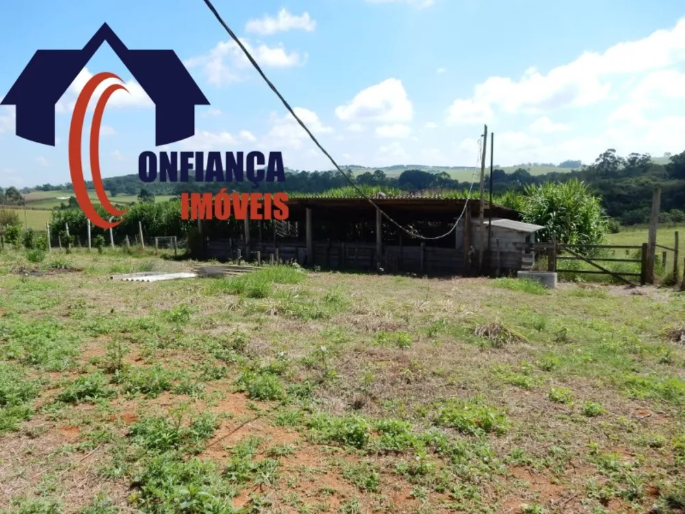 Sítio, 3 quartos, 1500 m² - Foto 1