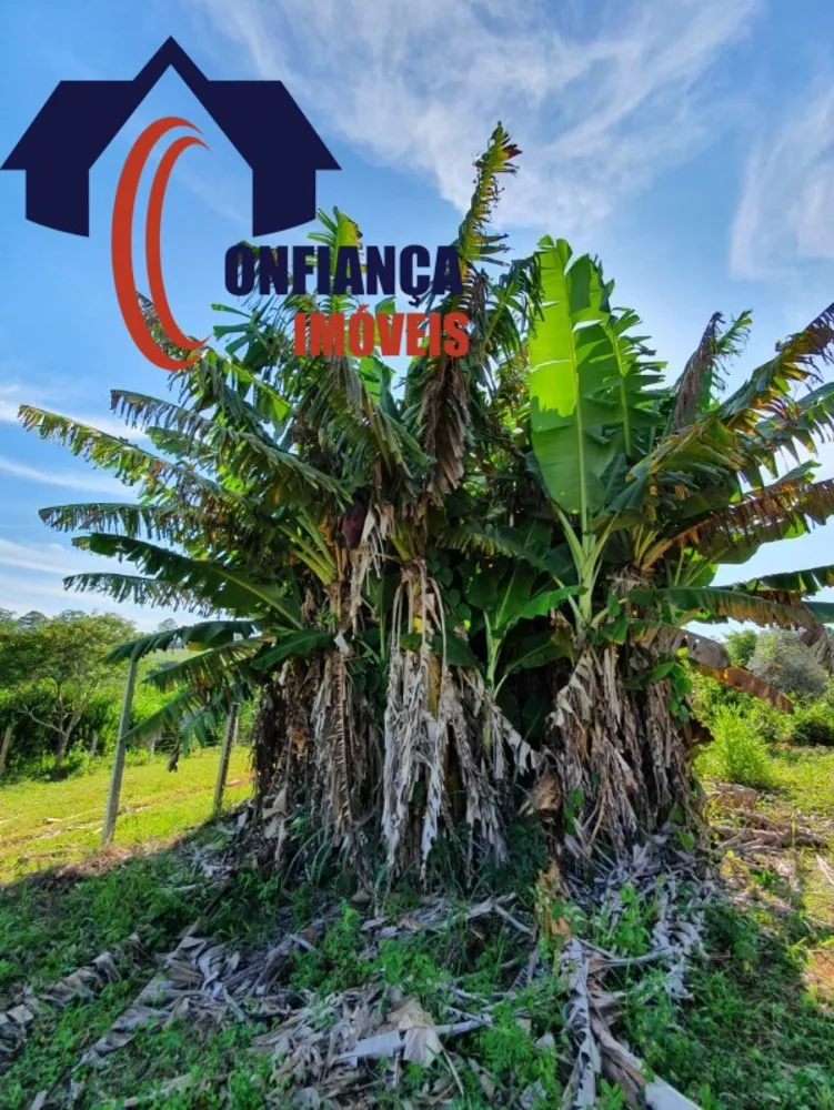 Sítio, 3 quartos, 1500 m² - Foto 3