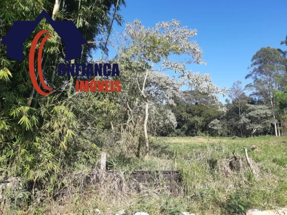 Loteamento e Condomínio, 2 hectares - Foto 2