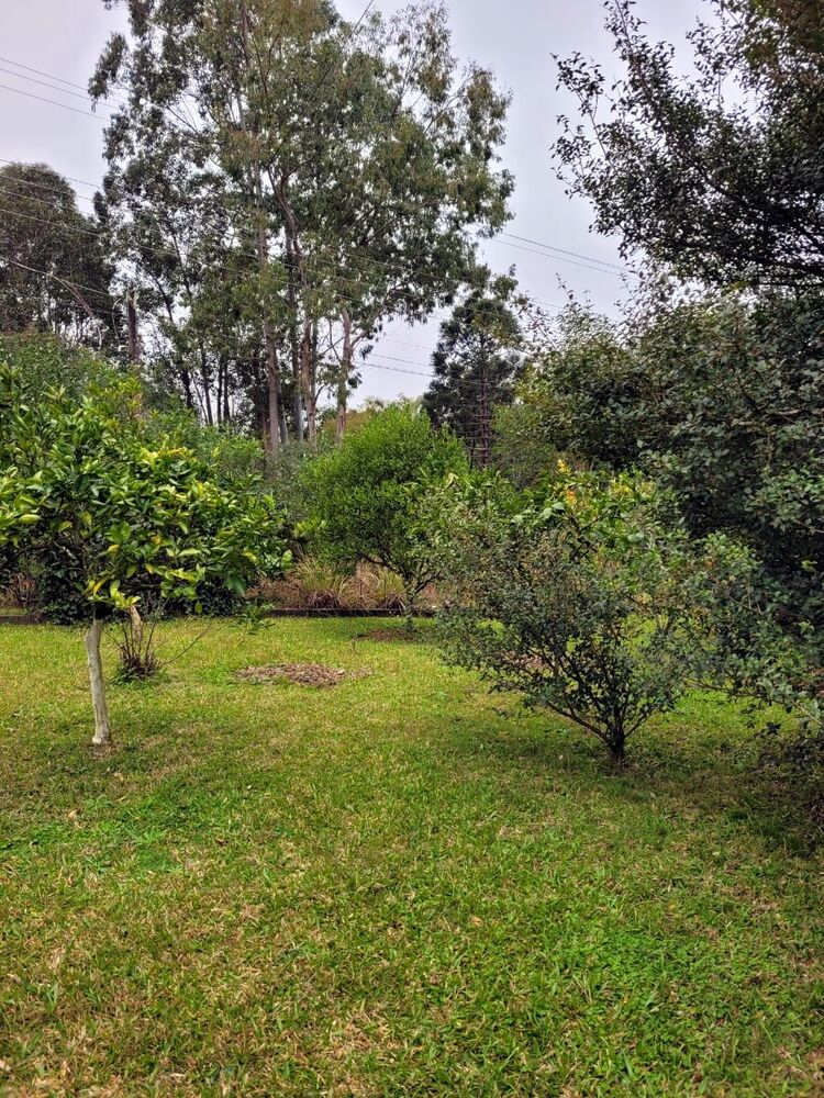 Sítio, 2 quartos, 1260 m² - Foto 8