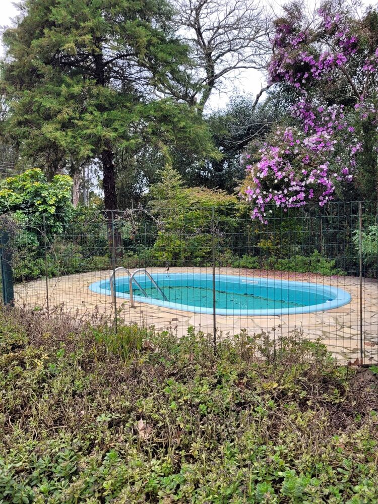Sítio, 2 quartos, 1260 m² - Foto 3