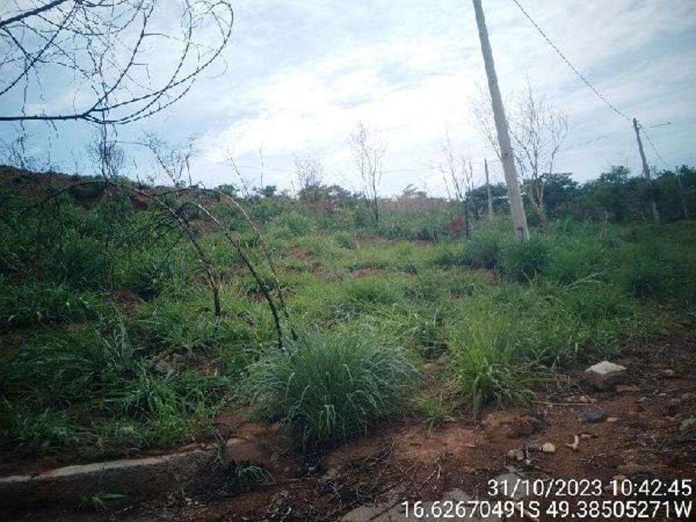Terreno à venda com 1 quarto, 325m² - Foto 1