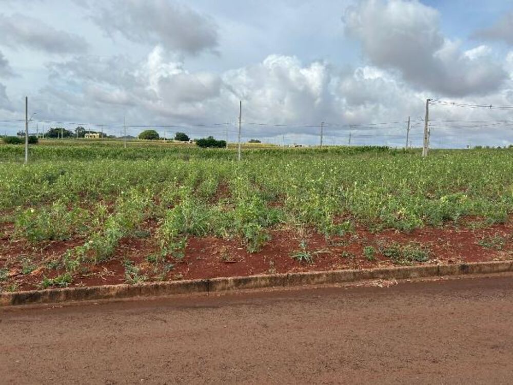 Terreno à venda com 1 quarto, 245m² - Foto 1