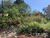 Terreno, 245 m² - Foto 1