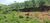 Terreno, 50 m² - Foto 1