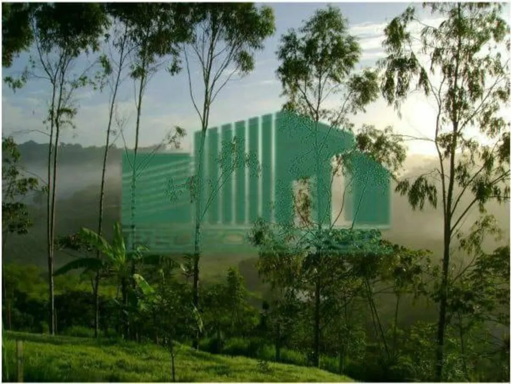 Terreno, 1000 m² - Foto 3
