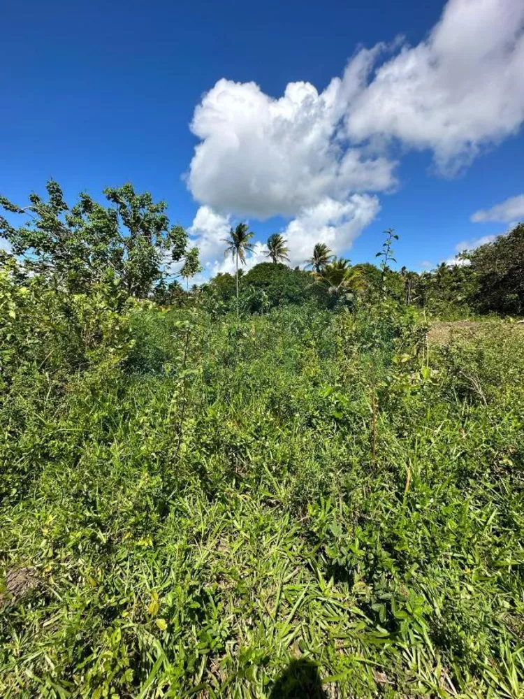 Loteamento e Condomínio à venda, 80000m² - Foto 3