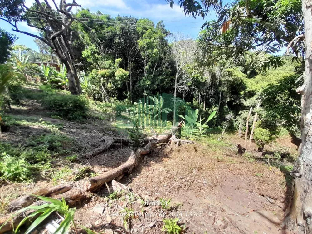 Fazenda à venda com 2 quartos, 2100m² - Foto 3