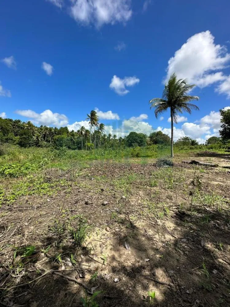 Loteamento e Condomínio, 8 hectares - Foto 2