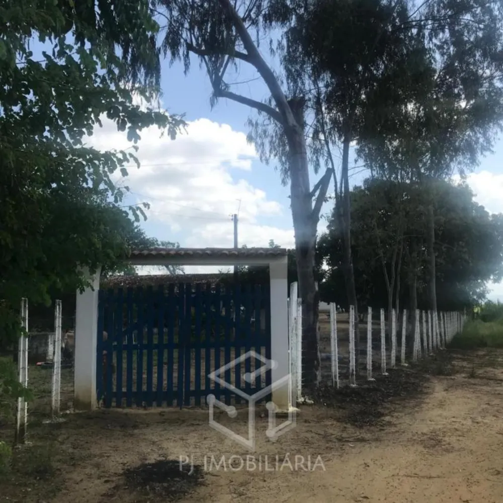 Sítio, 4 quartos, 2 hectares - Foto 2