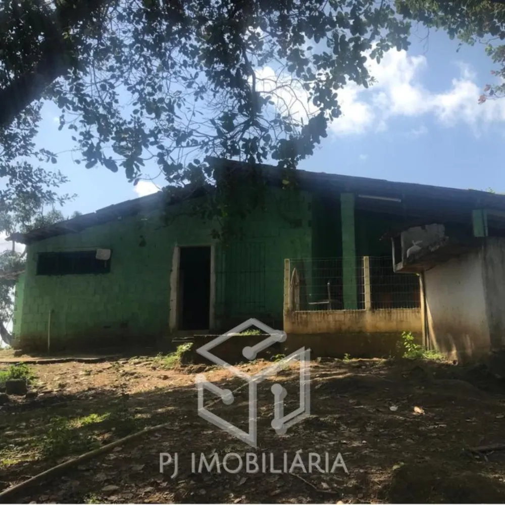 Sítio, 4 quartos, 2 hectares - Foto 1