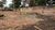 Terreno, 2450 m² - Foto 2