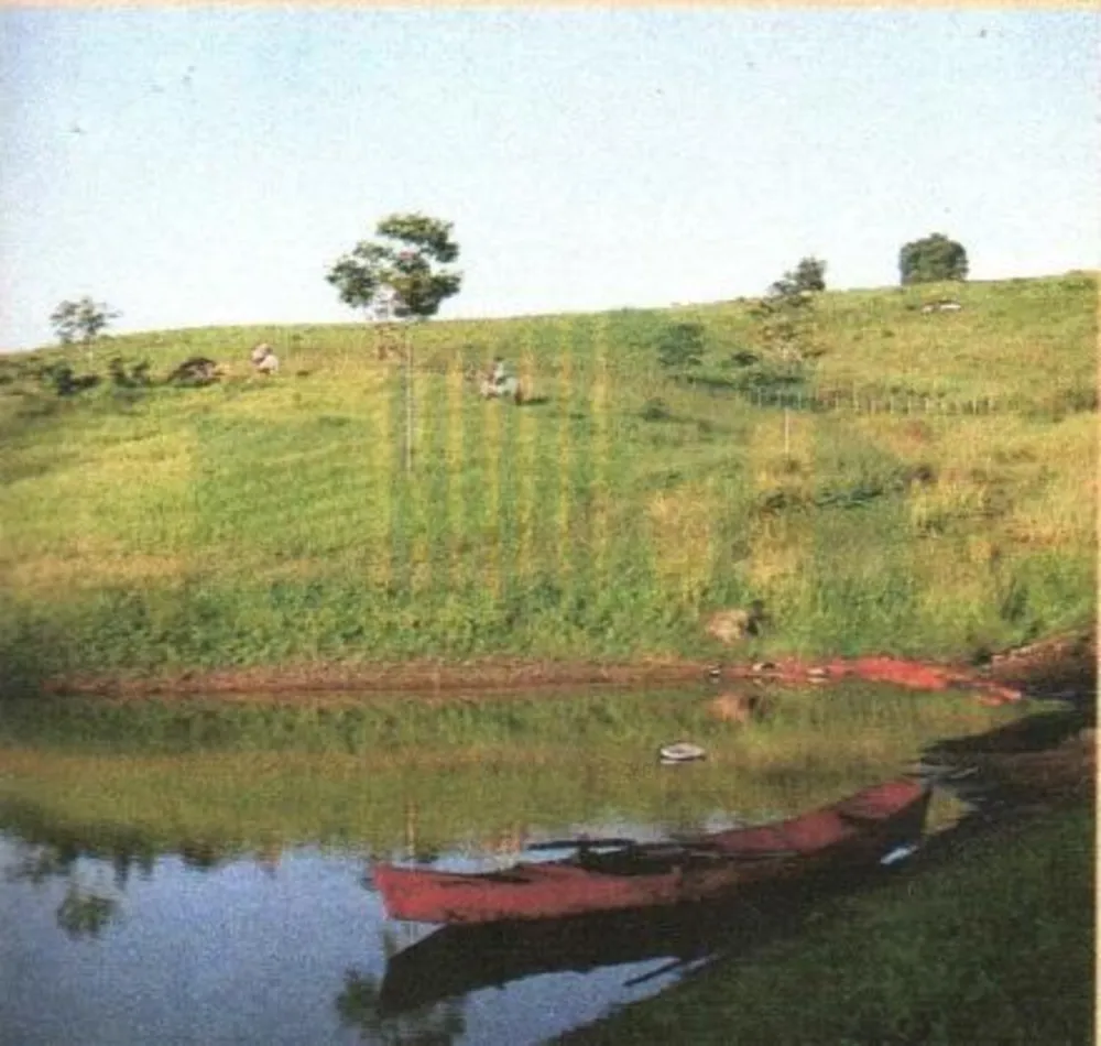 Terreno, 1200 m² - Foto 3