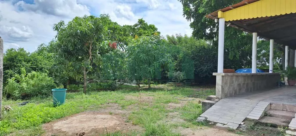 Fazenda à venda com 4 quartos, 2300m² - Foto 1