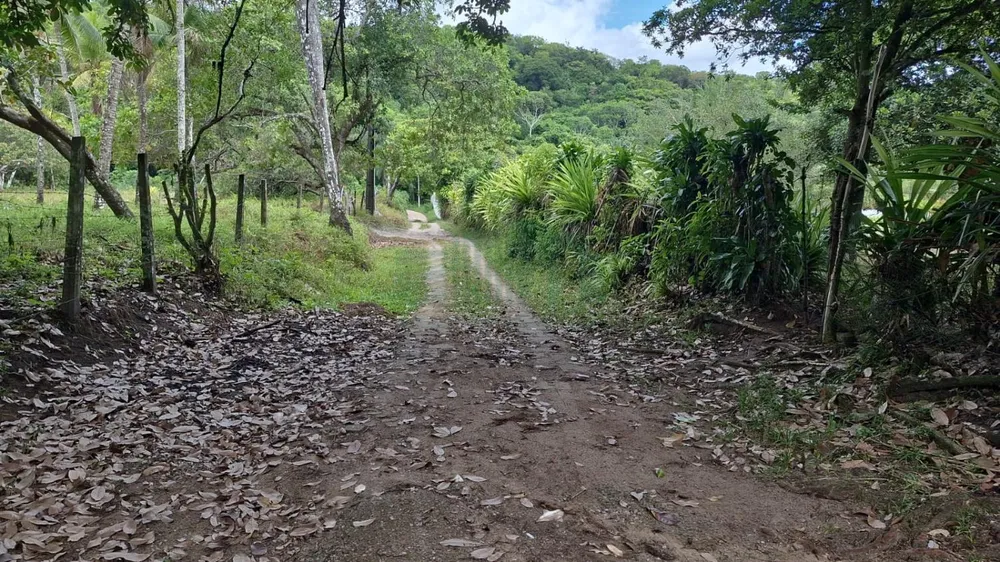 Chácara, 3 quartos, 5000 m² - Foto 1