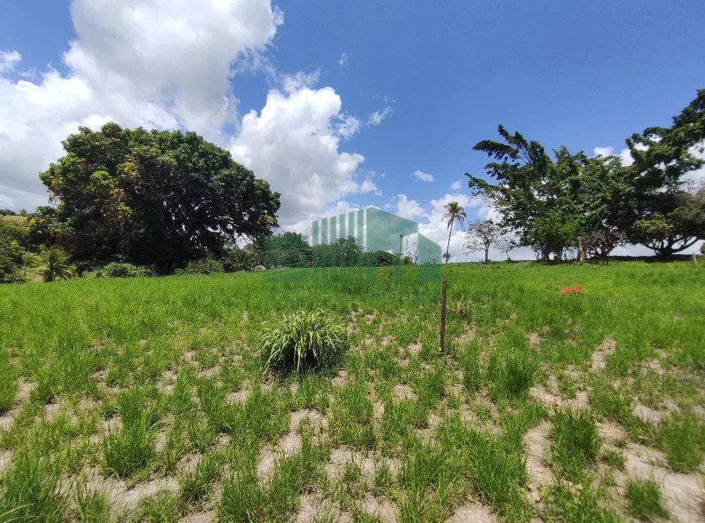 Loteamento e Condomínio, 4 hectares - Foto 4