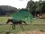Terreno, 1000 m² - Foto 4