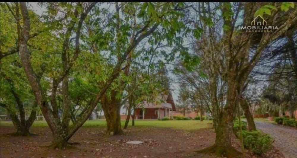 Chácara, 6 quartos, 8 hectares - Foto 4