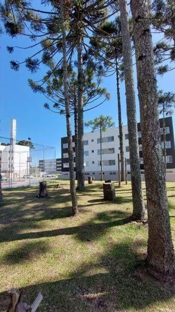 Apartamento, 2 quartos, 40 m² - Foto 1