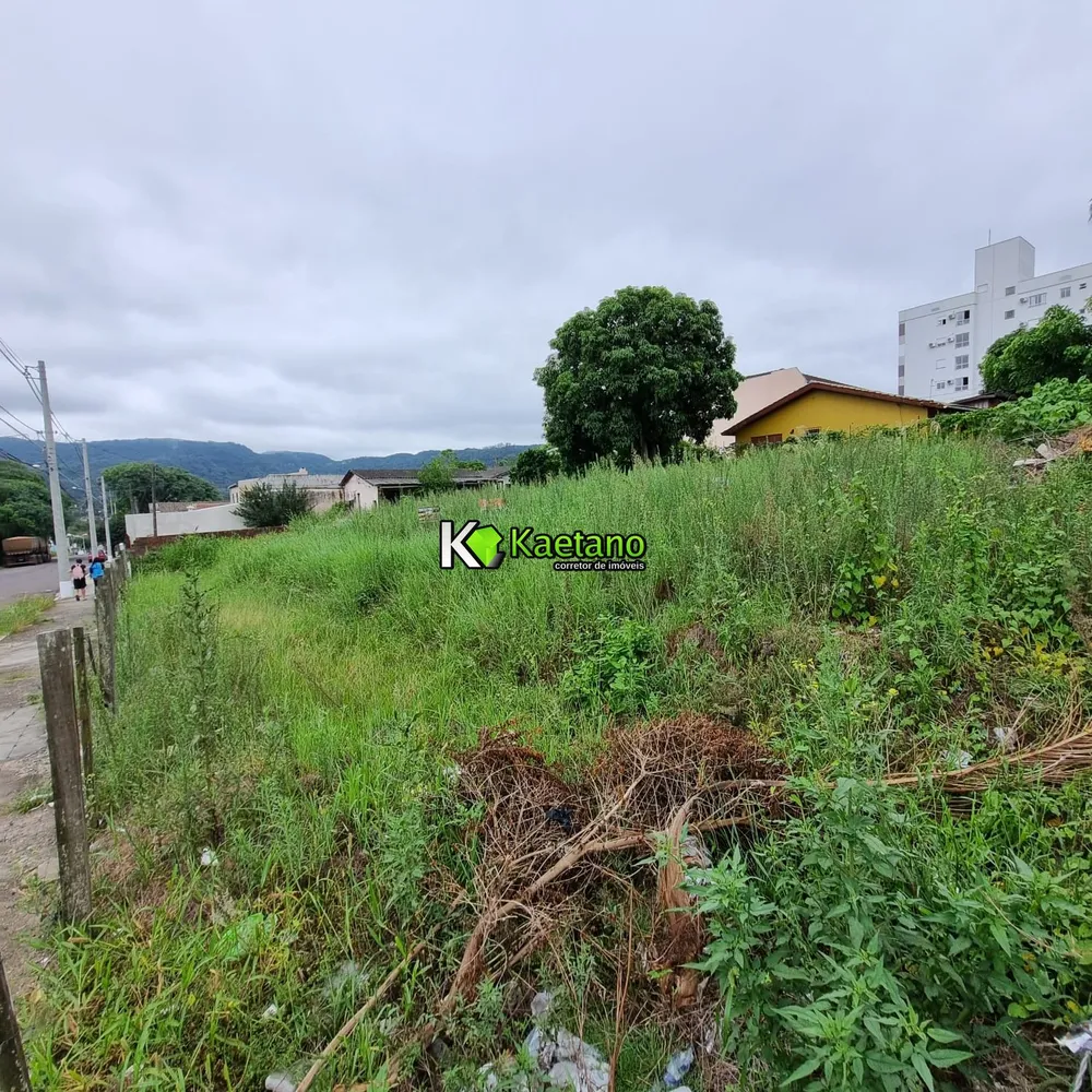 Terreno, 1184 m² - Foto 12