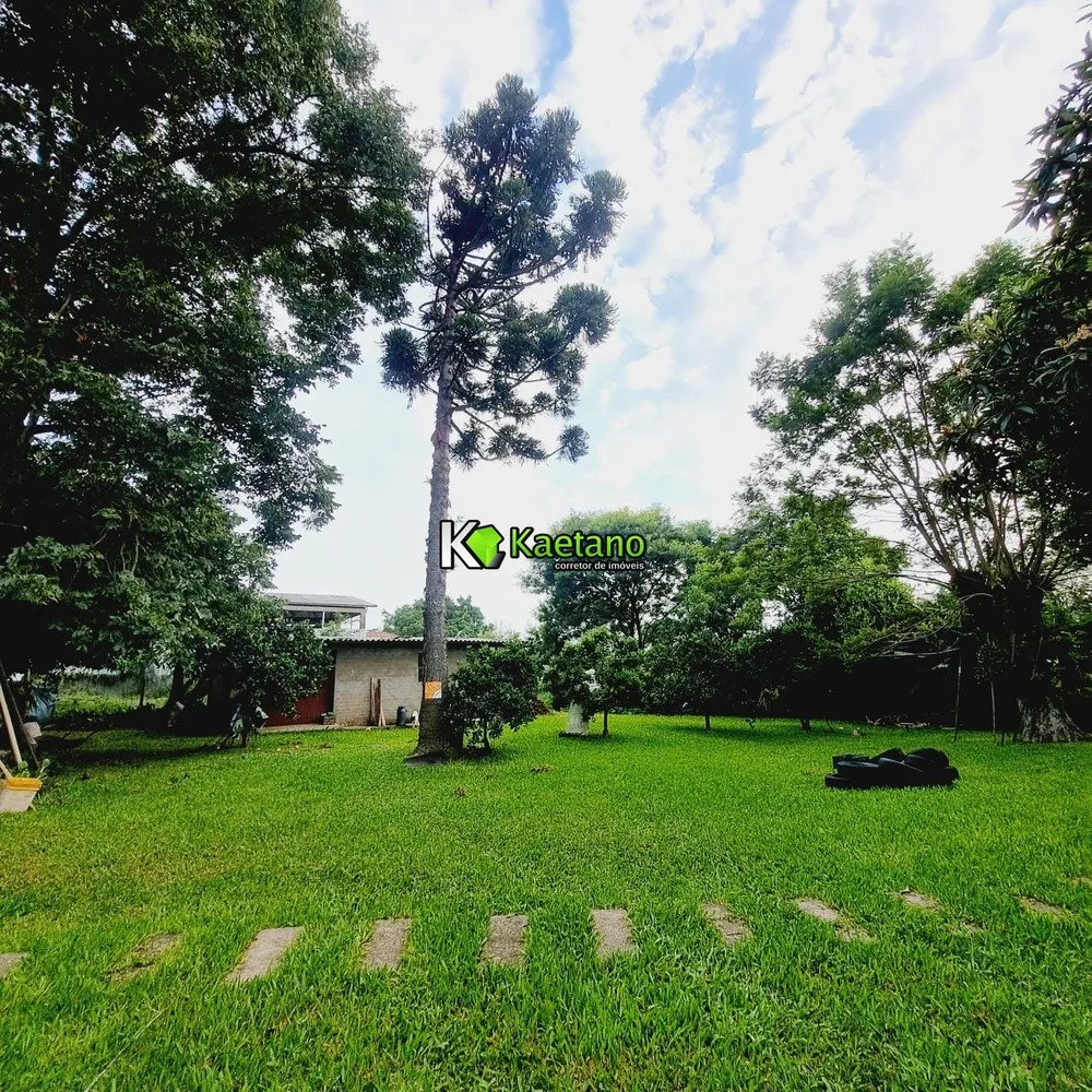 Casa, 4 quartos, 290 m² - Foto 10