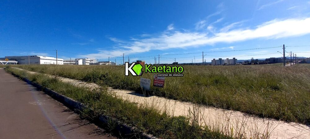 Terreno, 316 m² - Foto 4