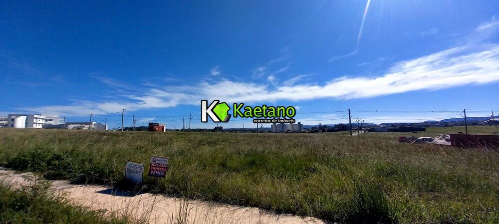 Terreno, 316 m² - Foto 3