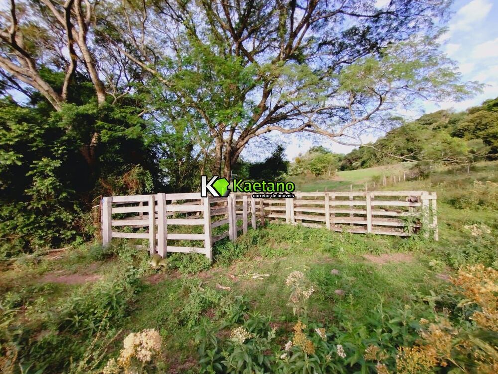 Sítio, 2 hectares - Foto 2