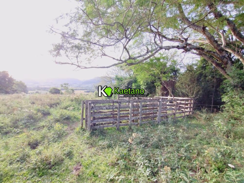 Sítio, 2 hectares - Foto 4