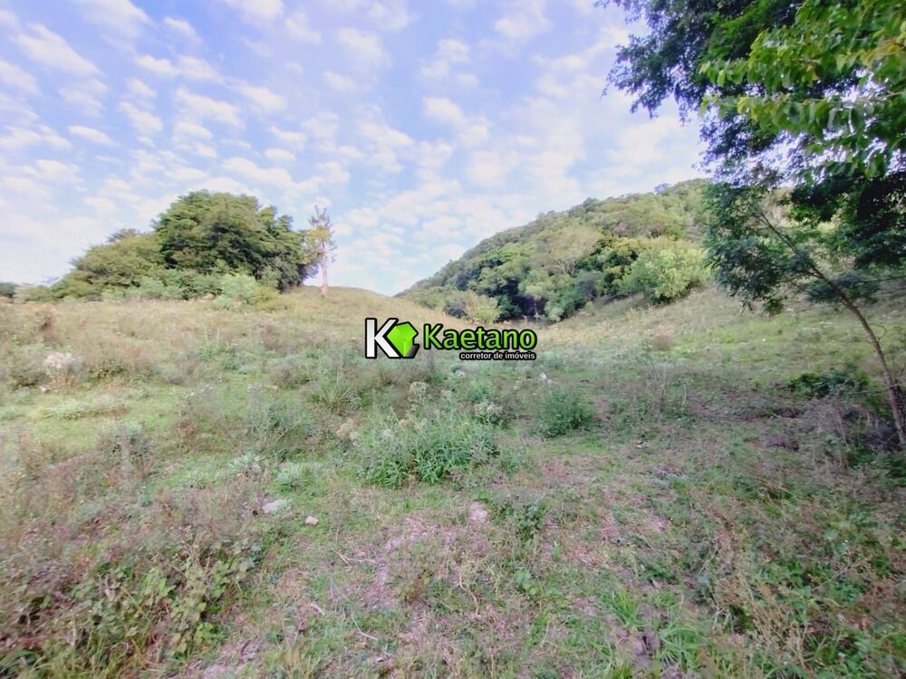 Sítio, 2 hectares - Foto 3