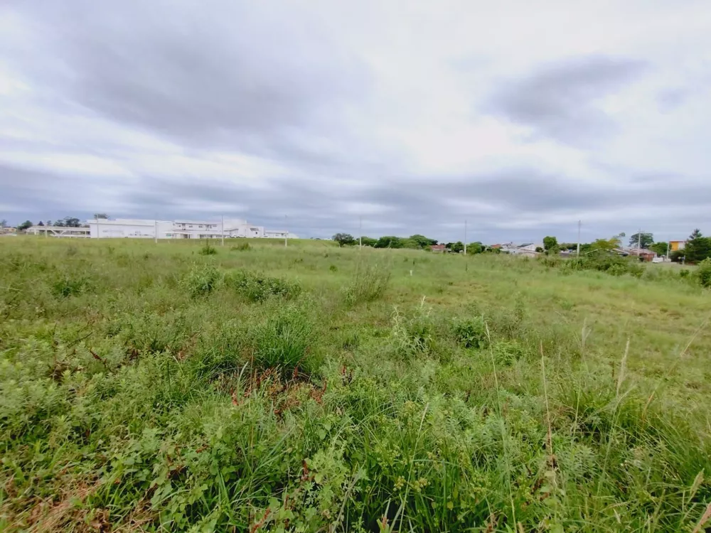 Terreno, 1264 m² - Foto 5