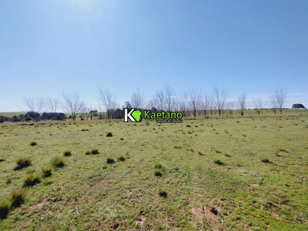 Sítio, 3 quartos, 2 hectares - Foto 8