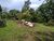 Terreno, 1407 m² - Foto 4