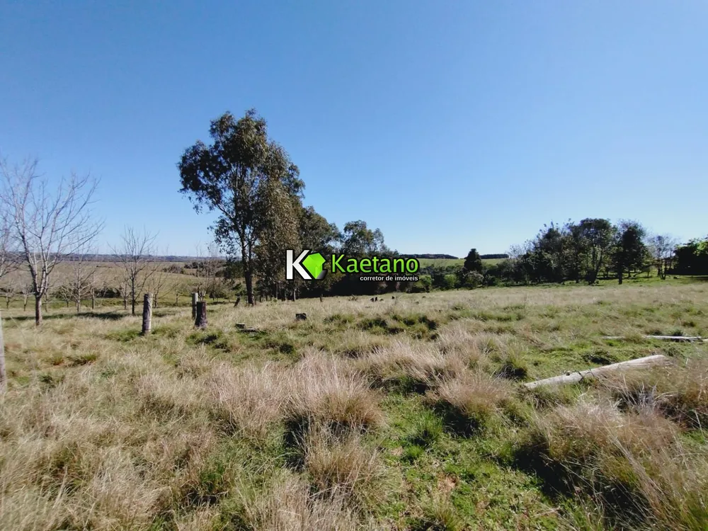 Chácara, 3 quartos, 12 hectares - Foto 1
