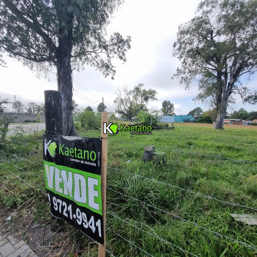 Terreno, 4801 m² - Foto 7