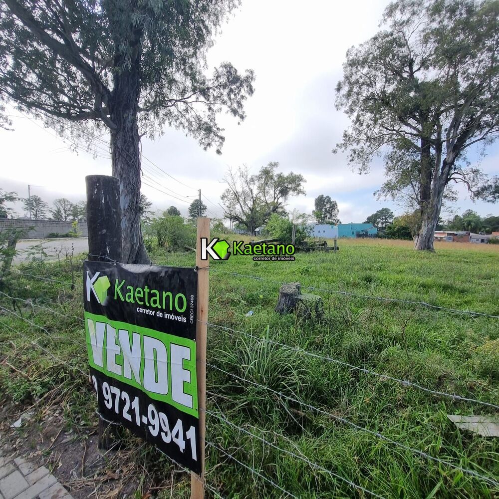 Terreno, 4801 m² - Foto 3