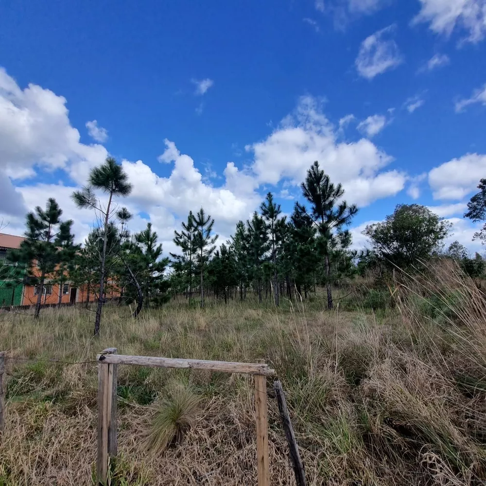Terreno, 3100 m² - Foto 11