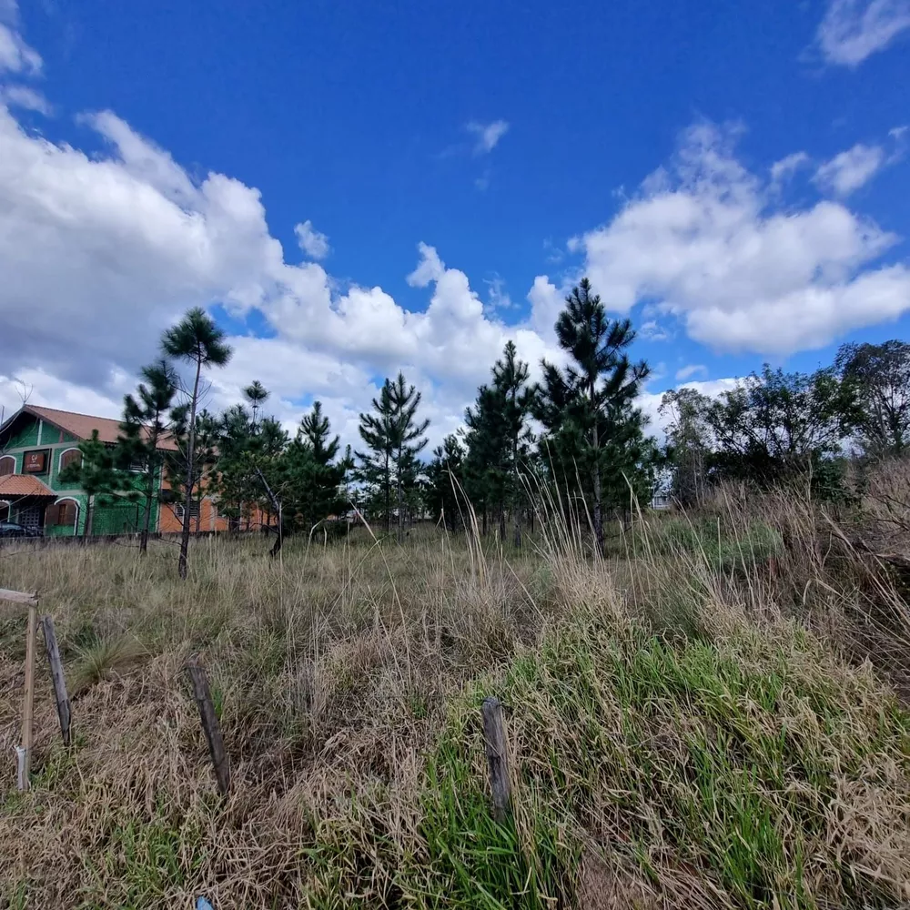 Terreno, 3100 m² - Foto 13