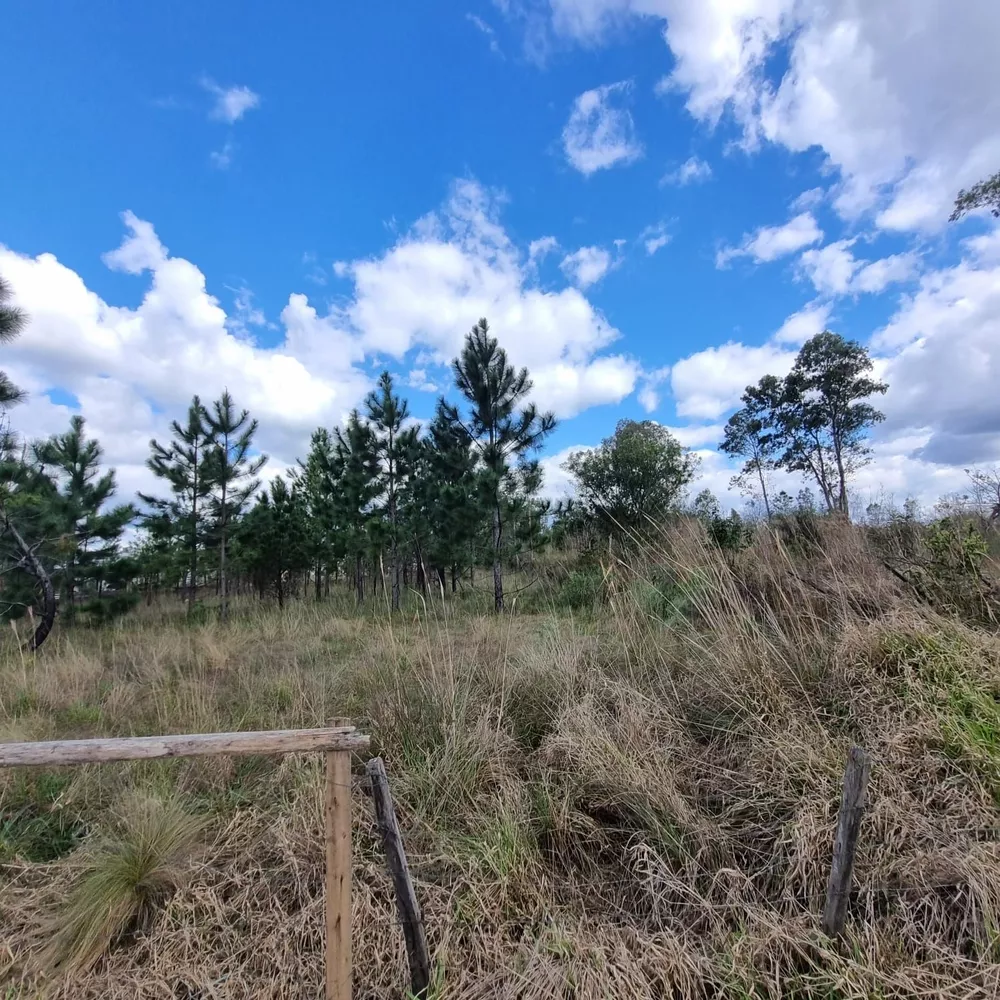 Terreno, 3100 m² - Foto 8