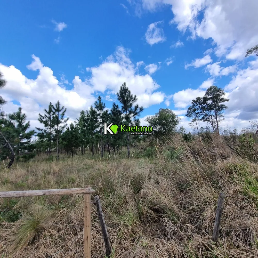 Terreno, 3100 m² - Foto 19