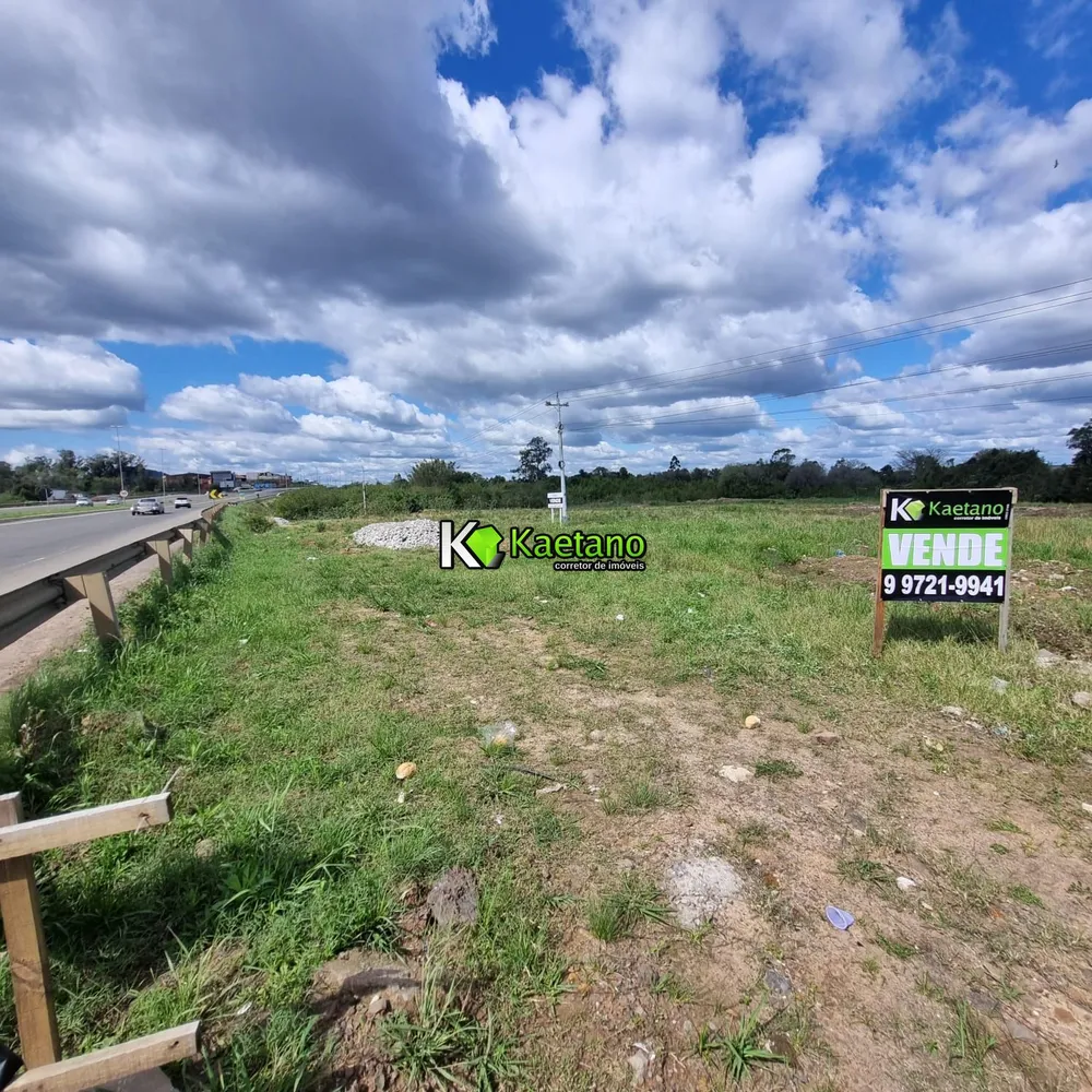 Terreno, 3 hectares - Foto 11