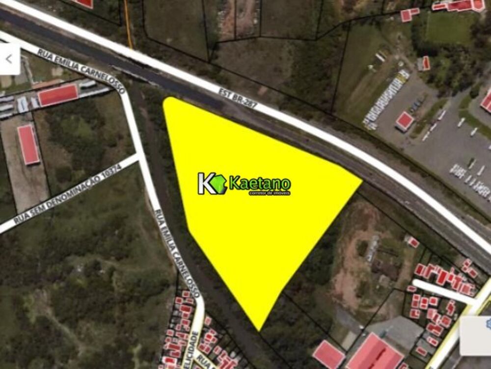 Terreno, 3 hectares - Foto 7