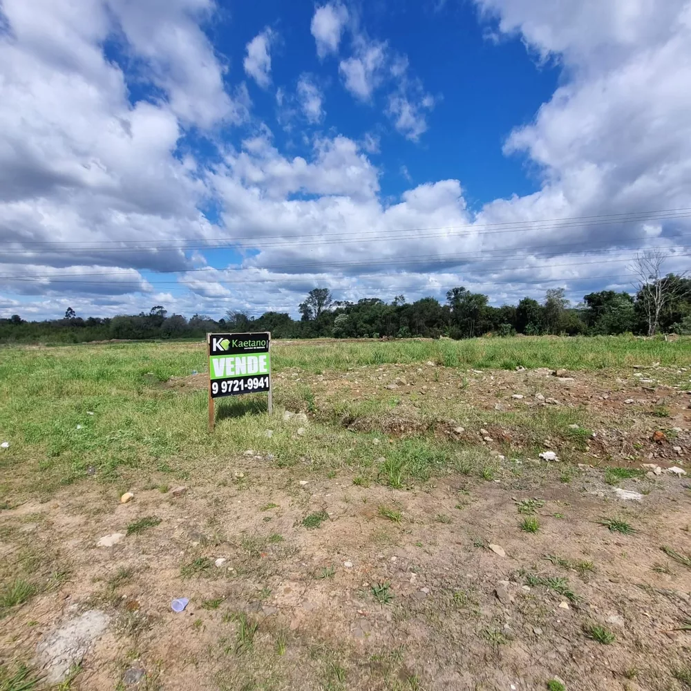 Terreno, 3 hectares - Foto 2