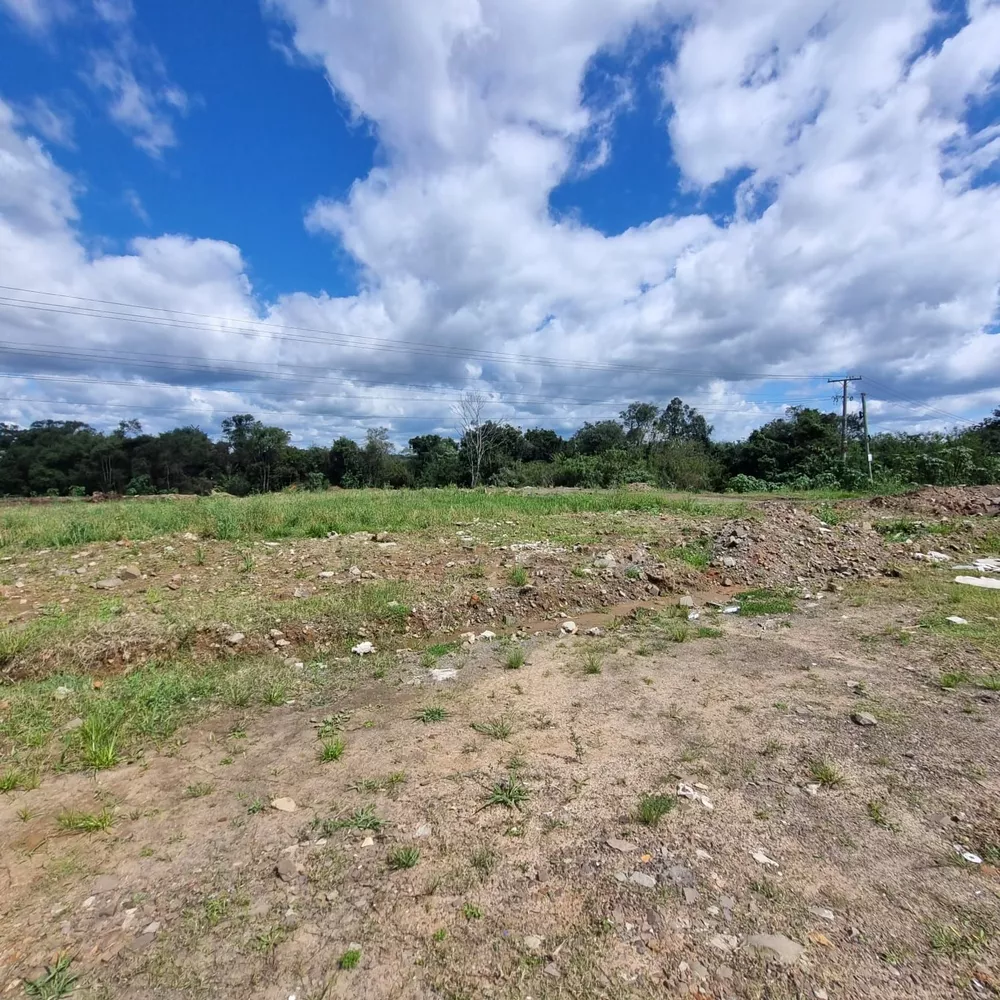 Terreno, 3 hectares - Foto 4