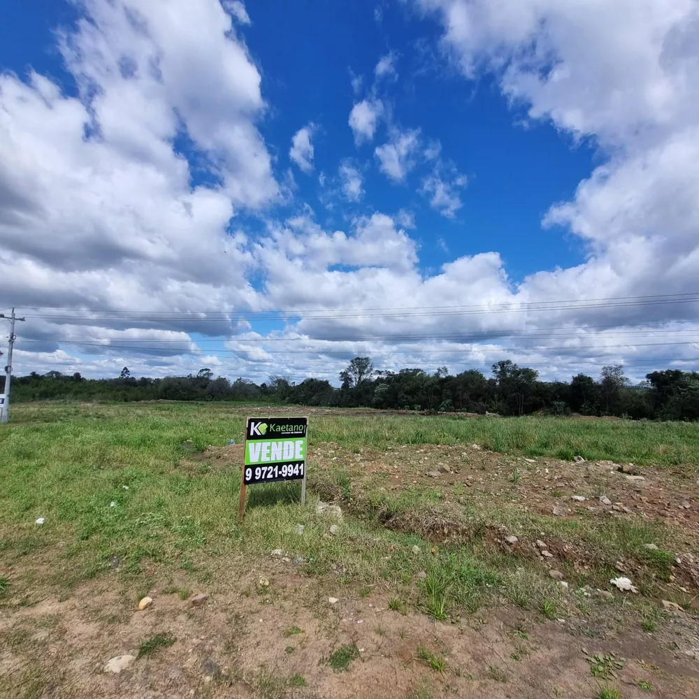 Terreno, 3 hectares - Foto 1