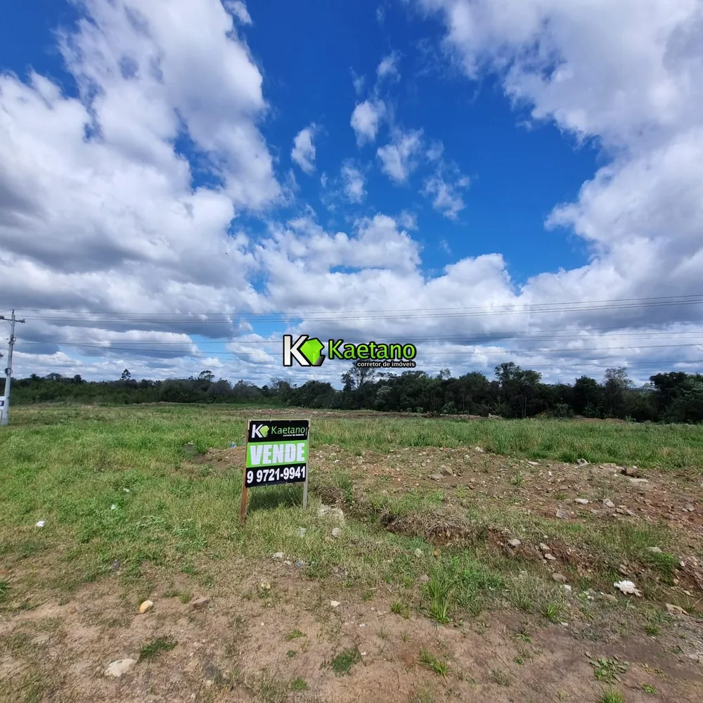 Terreno, 3 hectares - Foto 12