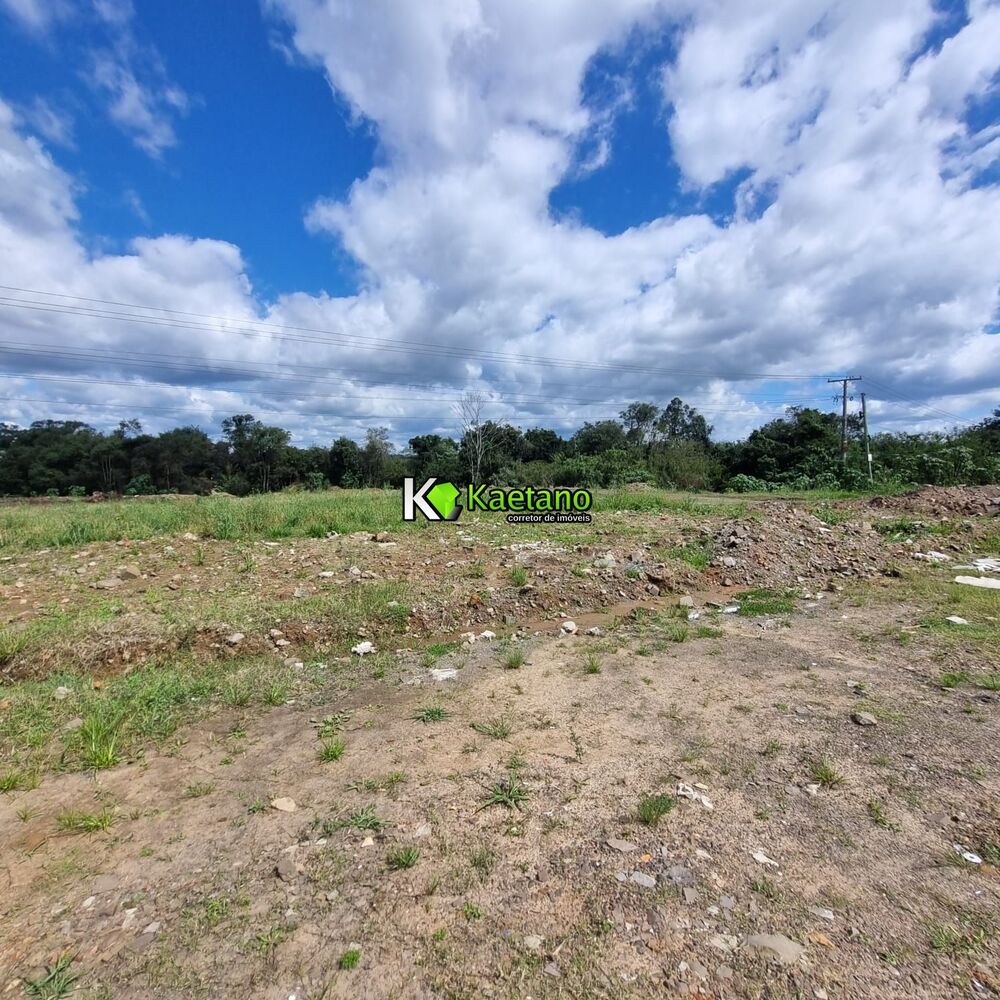 Terreno, 3 hectares - Foto 8