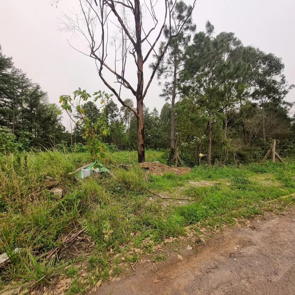 Terreno, 7 hectares - Foto 7